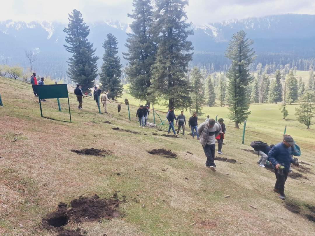 Googaldara Plantation Drive